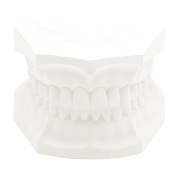 Orthodontic Plaster weiß  22,7 Kg