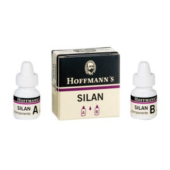 Hoffmann's Silan A+B 2x5g