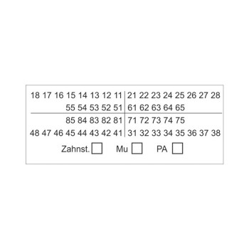 Zahnschema Befund 01 84000057 Pa