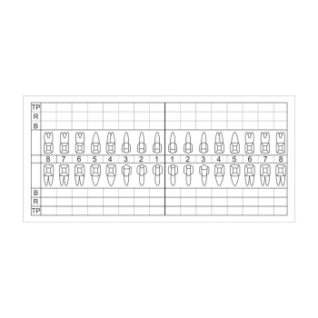 Zahnschema plastisch 120St