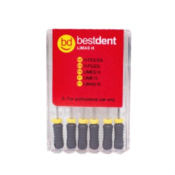 H-Files N.40 25mm Bestdent  6St