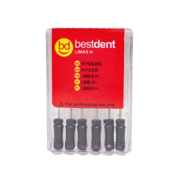 H-Files N.40 31mm Bestdent  6St