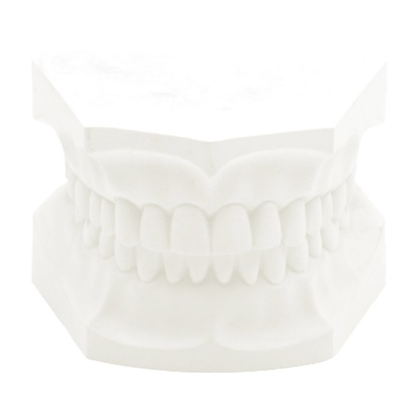 Orthodontic Plaster weiß  22,7 Kg