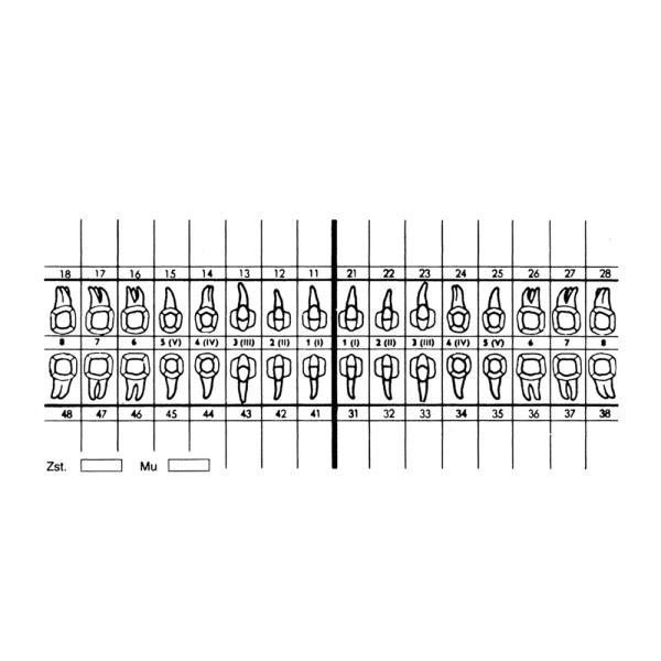 Zahnschema weiß SK 100St