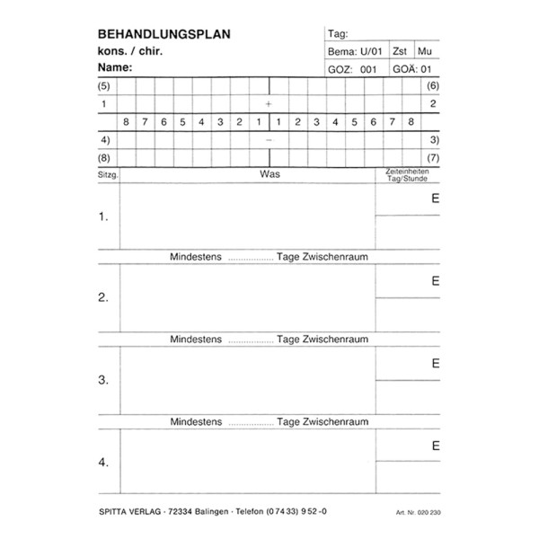 Behandlungsplan A6 100St