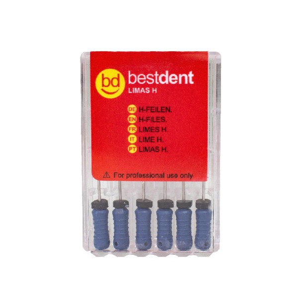 H-Files N.30 31mm Bestdent  6St