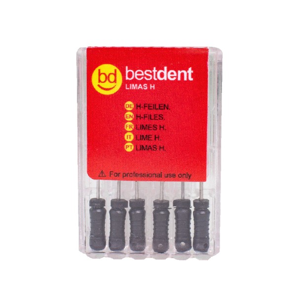 H-Files N.40 31mm Bestdent  6St